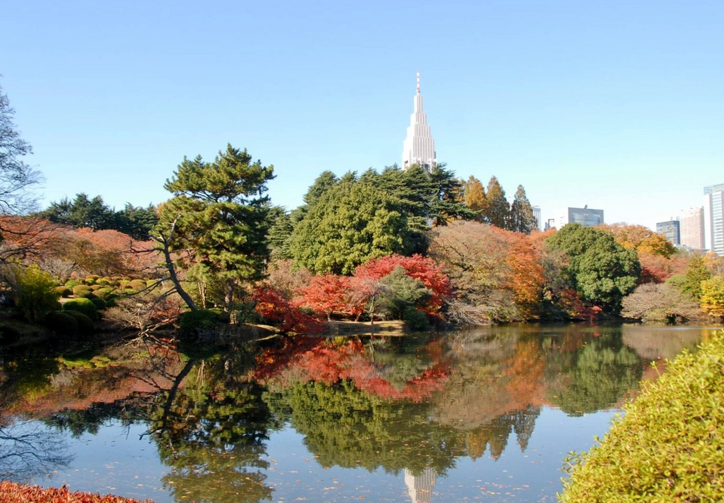 Shinjuku Gyoen en automne