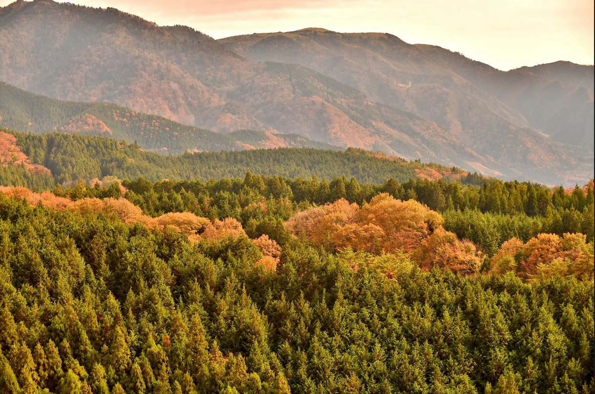 Paysage le long de la Nakasendo en automne