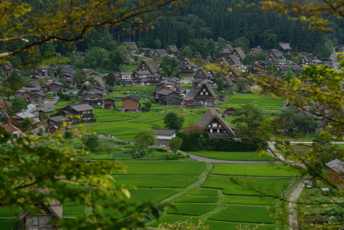 Shirakawa-go en juillet depuis l'observatoire Shiroyama