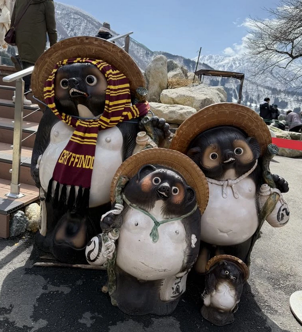 Tanuki à l'observatoire Shiroyama