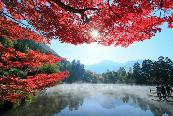 Lac Kinrin sous la brume @japan.travel