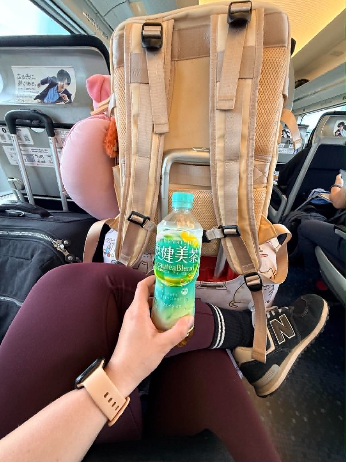 Dans le skyliner avec tous nos bagages