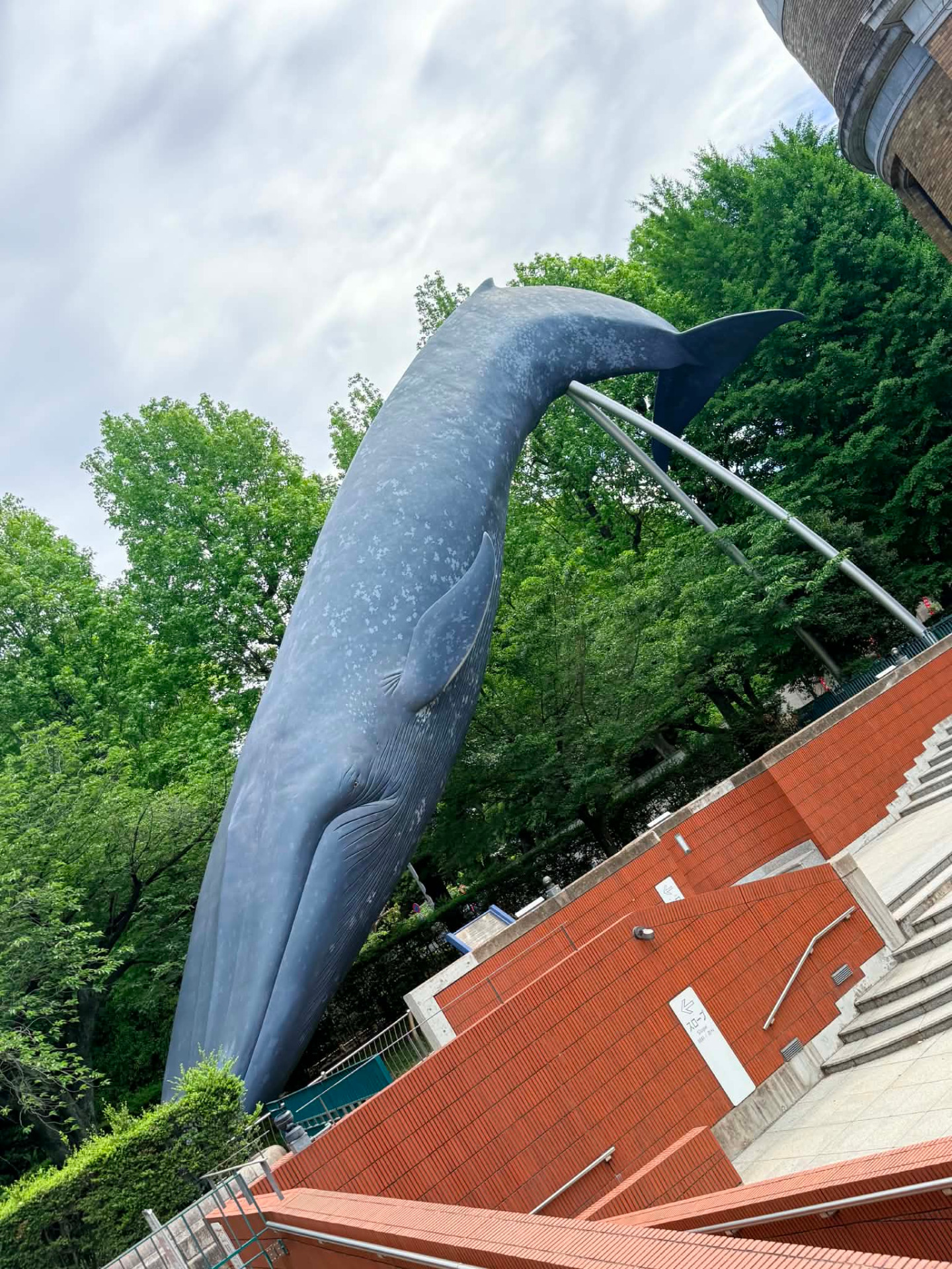 Baleine devant le Musée National de la Nature et des Sciences, parc d'Ueno