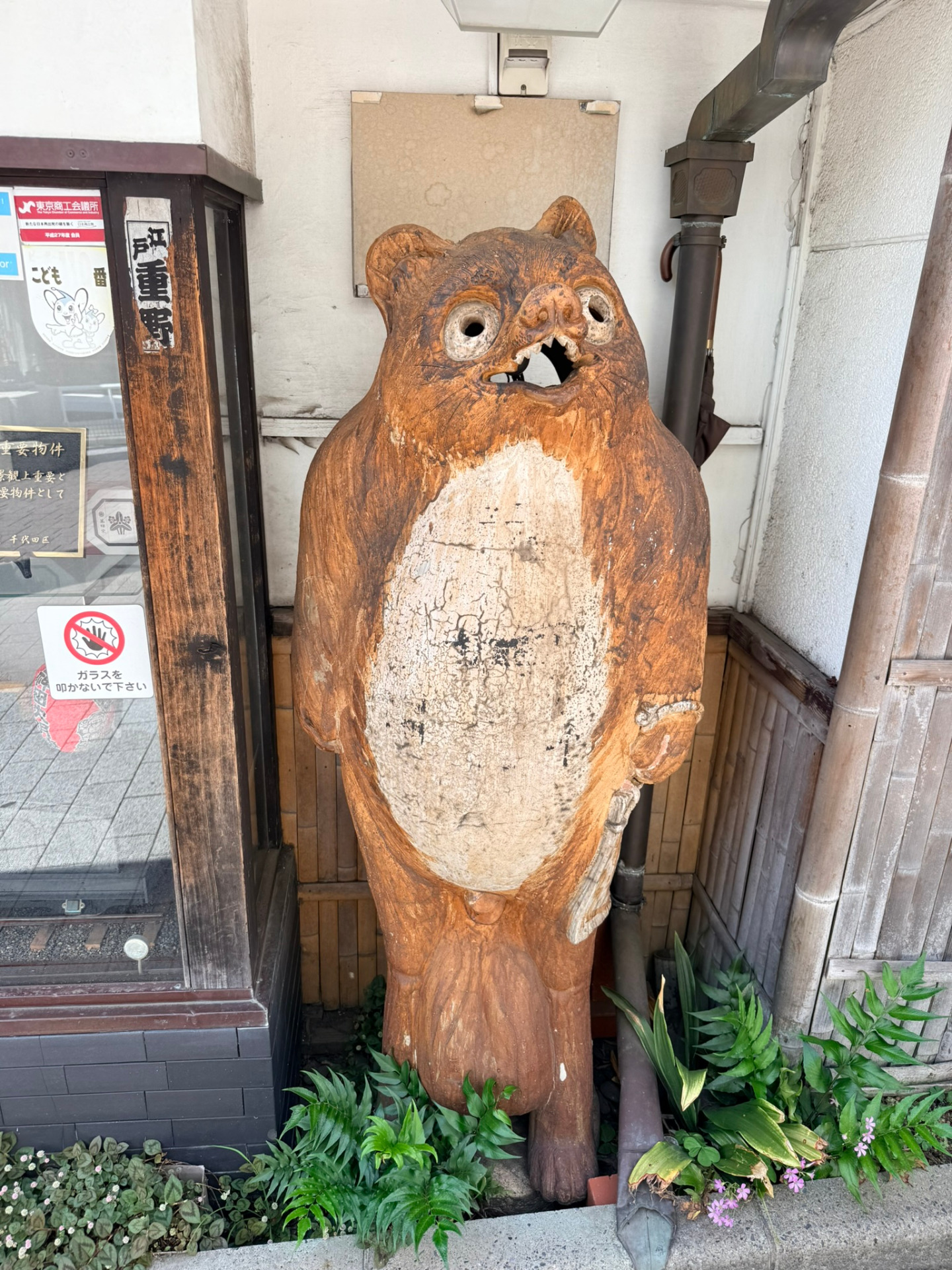 Tanuki aux abords du Kanda-myojin