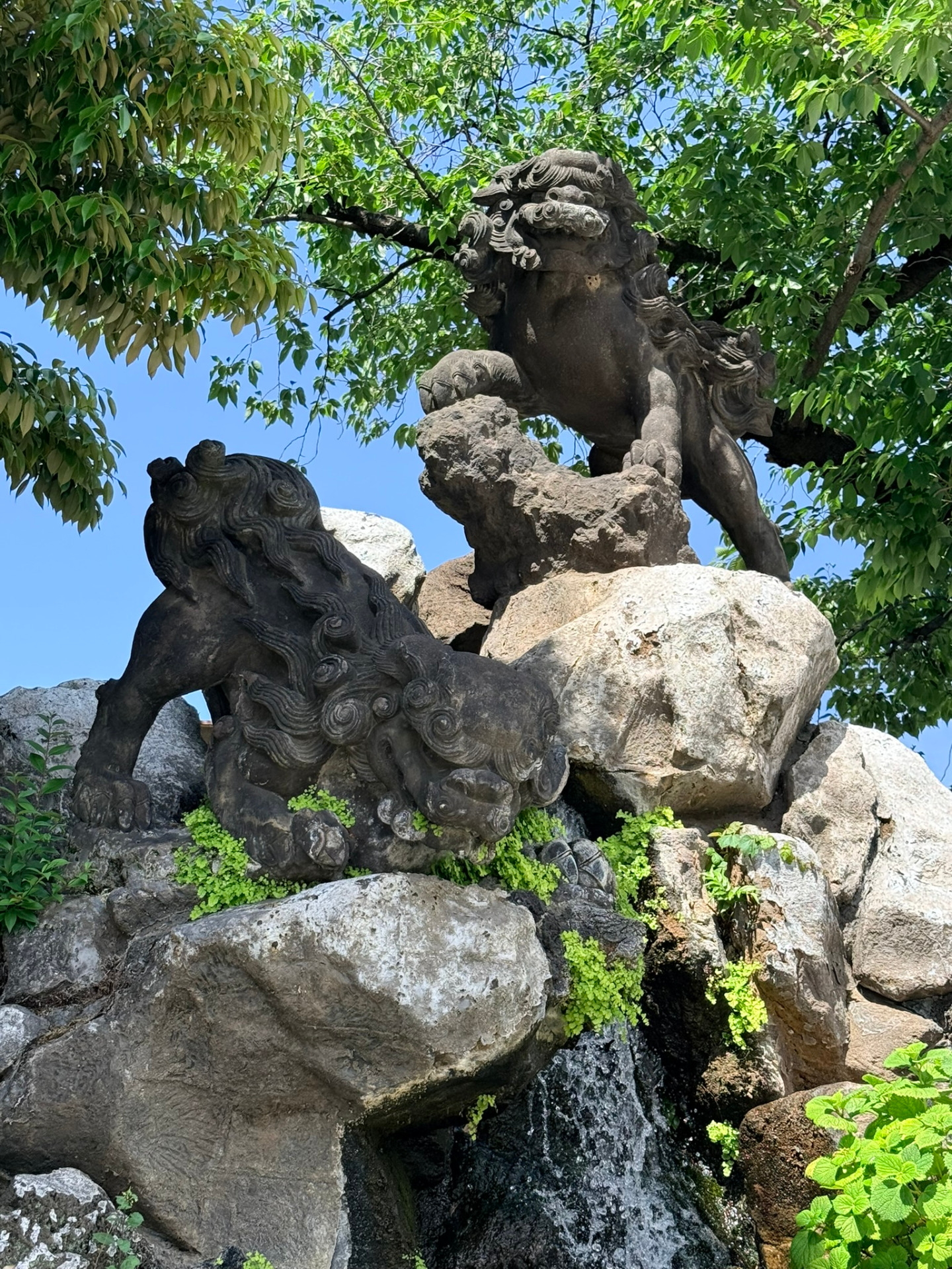 Kanda-myojin
