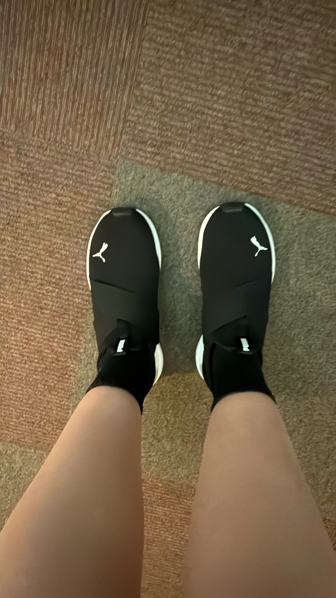 Puma achetées chez ABC-Mart