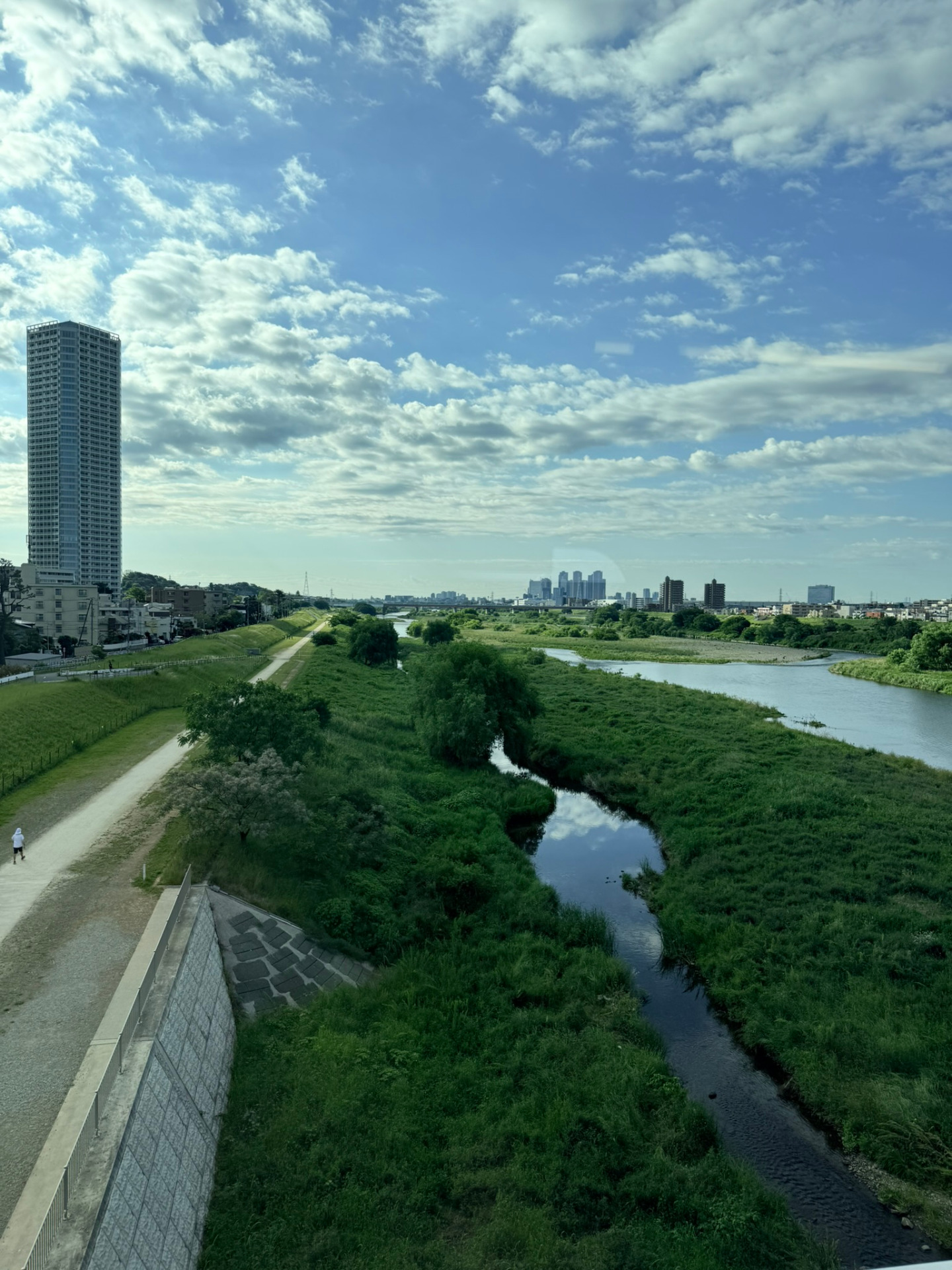 Rivière Tama-gawa