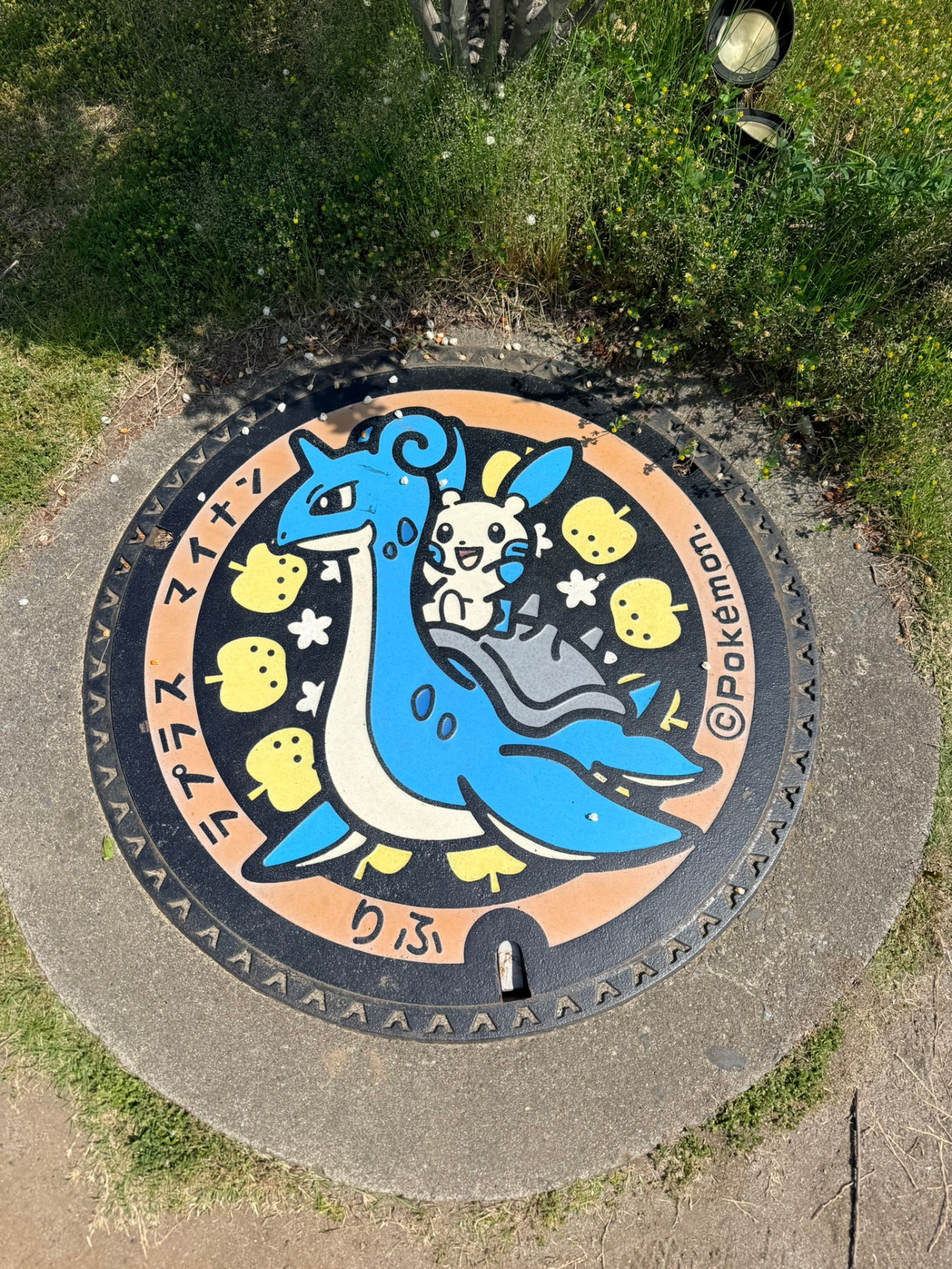 PokéLid Lokhlass et Negapi