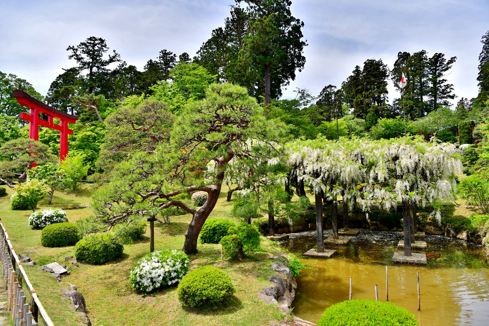 Jardin japonais