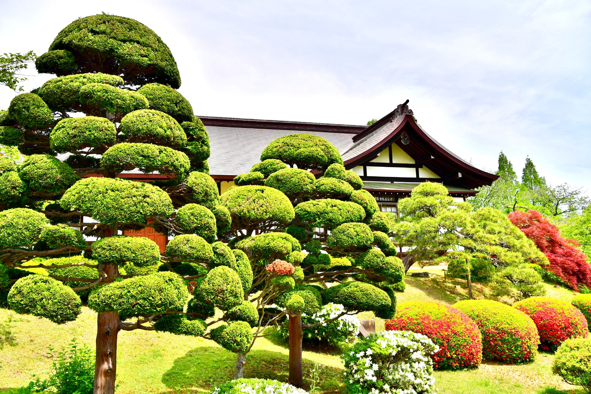 Jardin japonais