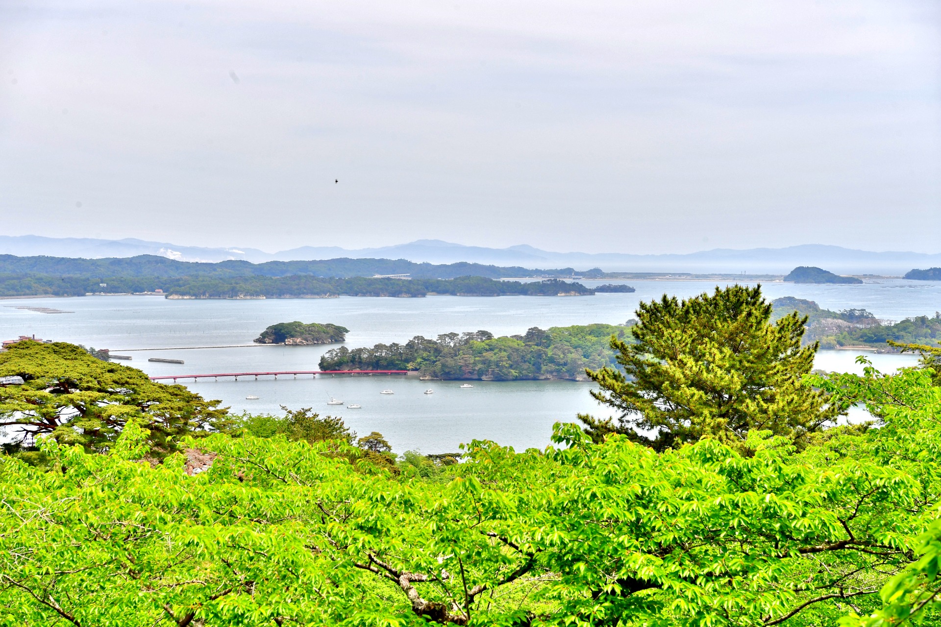 Baie de Matsushima