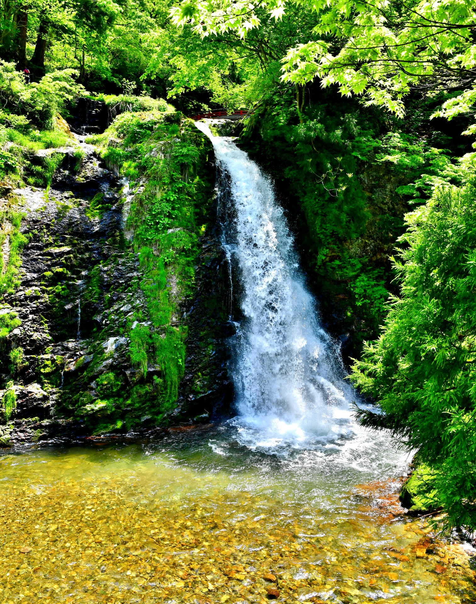 Cascade Shirogane, Ginzan Onsen
