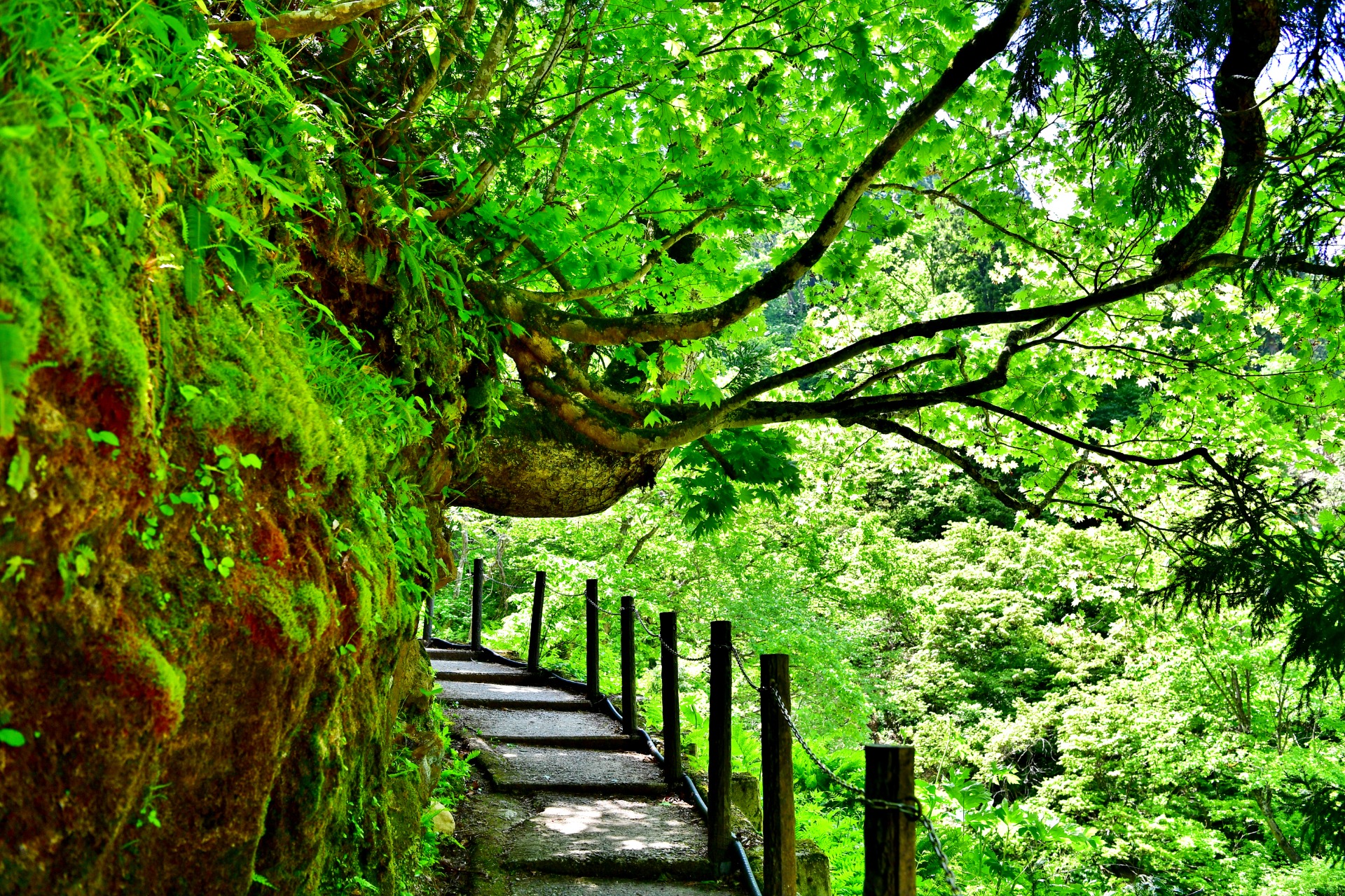 Chemin à gauche de la cascade Shirogane, Ginzan Onsen