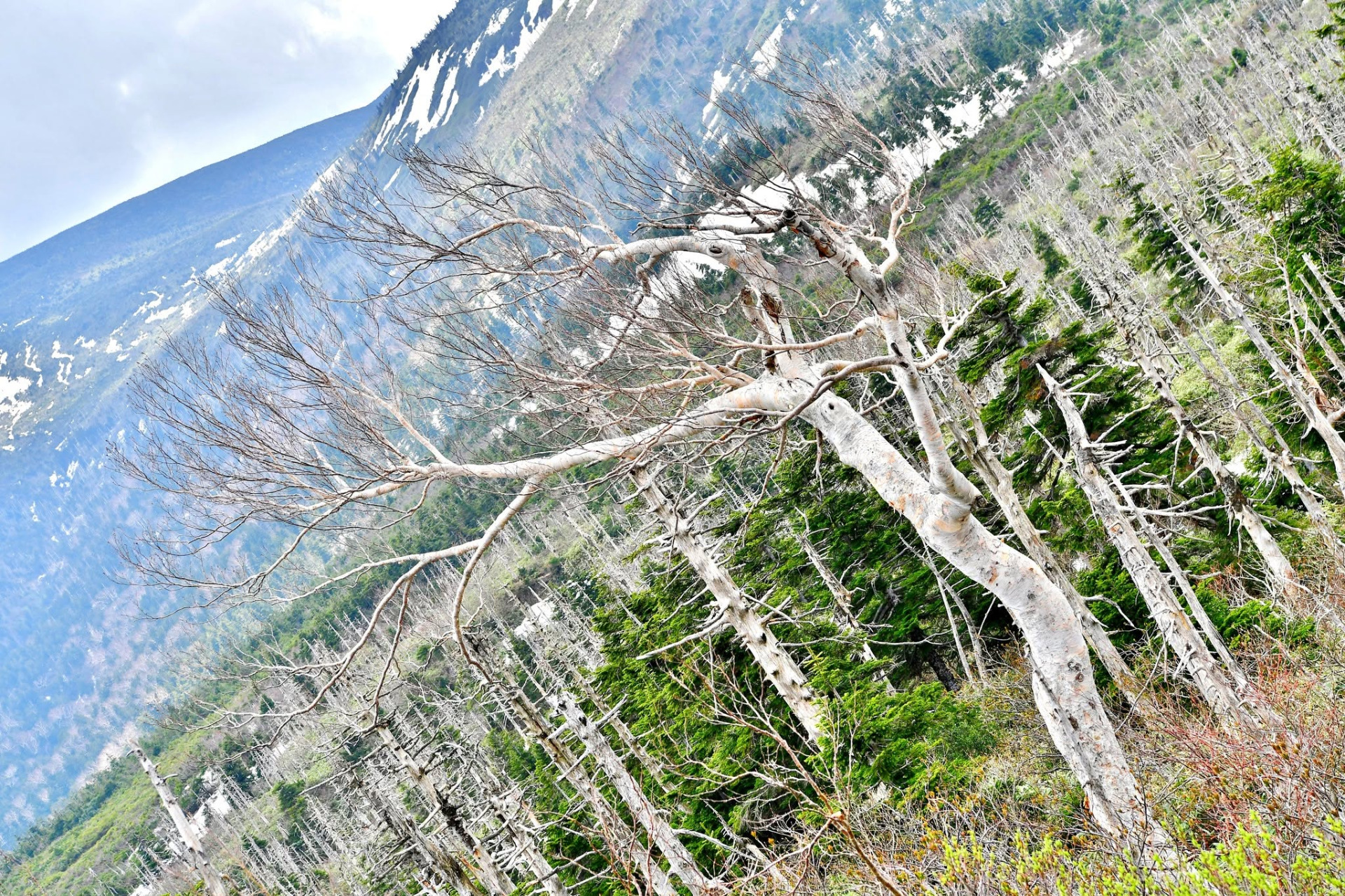 Paysage le long de la Zao Echo Line