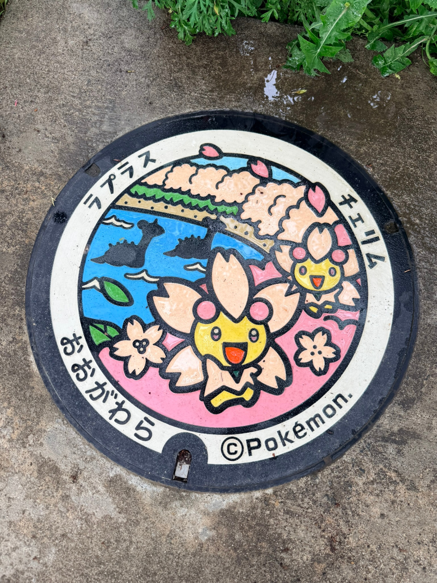 Pokélid à Ogawara