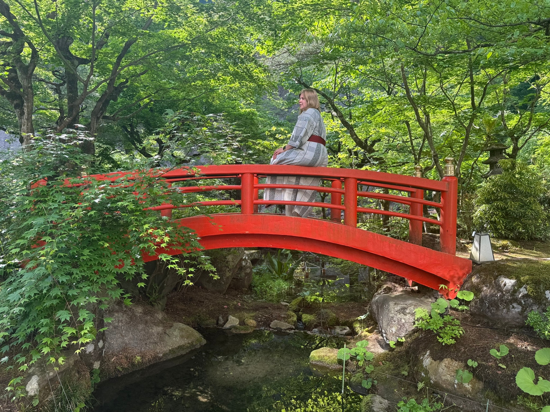 Jardin intérieur du Sansui-so, Tsuchiyu Onsen
