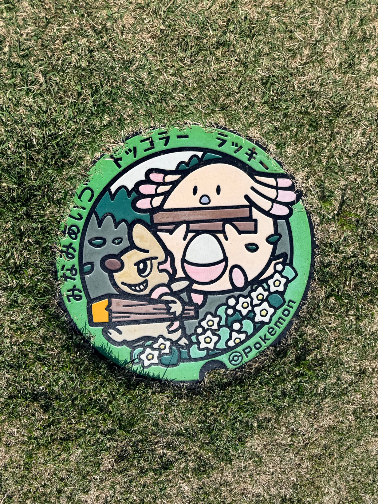 Pokélid de Fukushima