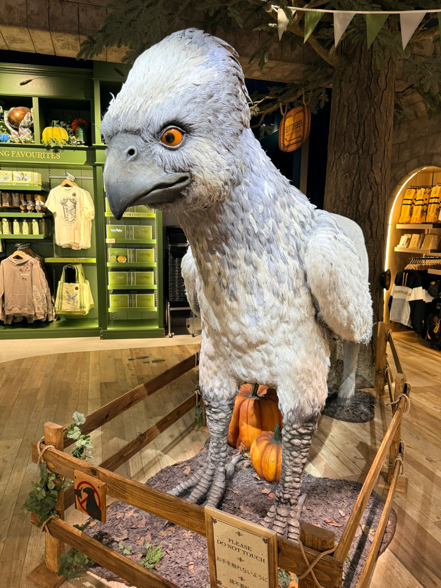 Harry Potter Harajuku