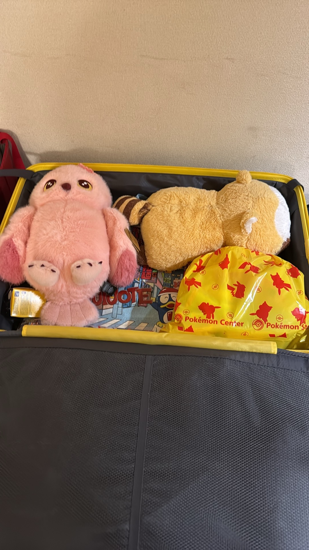 Nos valises bien remplies