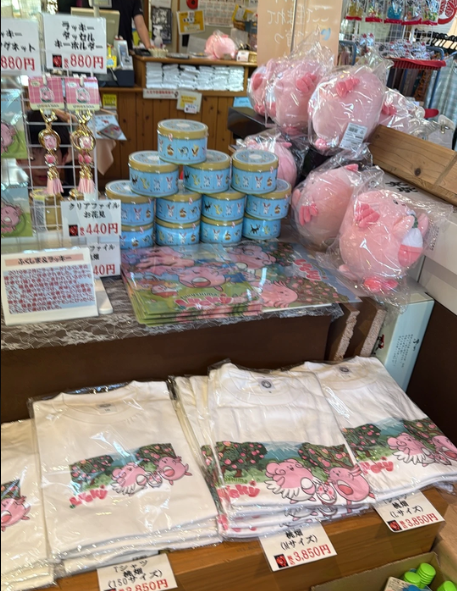 Produits Leveinard dans une Michi-no-eki