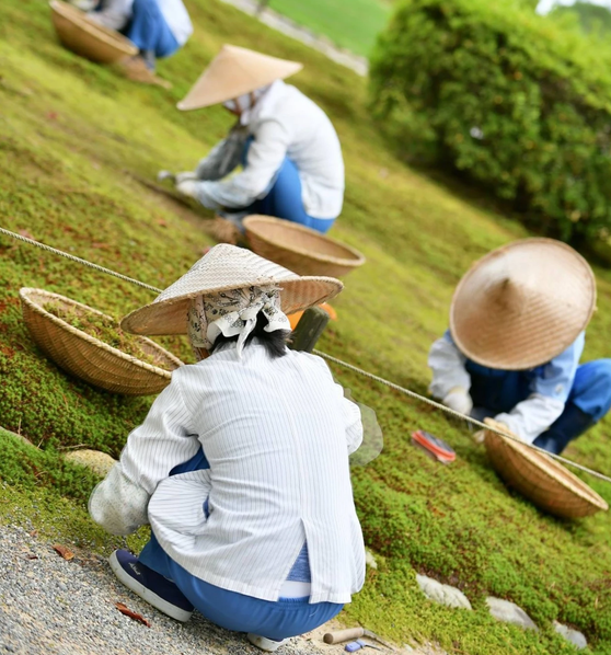 Uniforme de jardinier